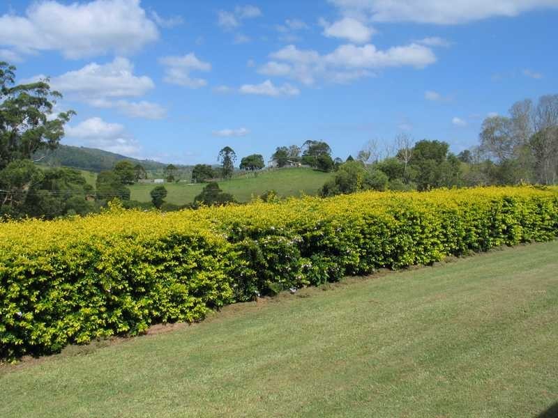 533 Mt Brisbane Road, Dayboro QLD 4521