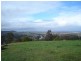 Rosebrook NSW 2320