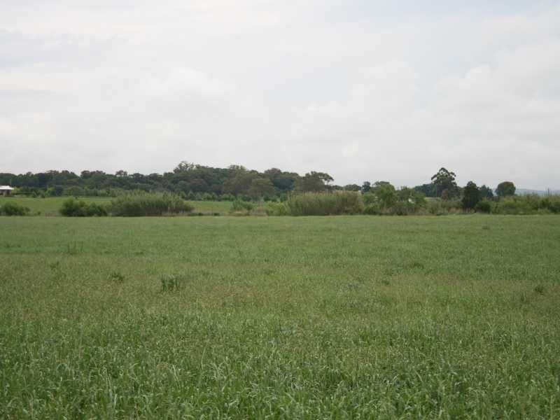 100 McFarlanes Road, Berry Park NSW 2321