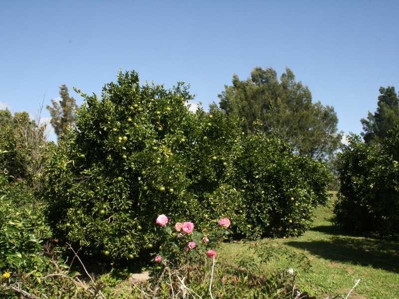 765 Paterson Road, Woodville NSW 2321