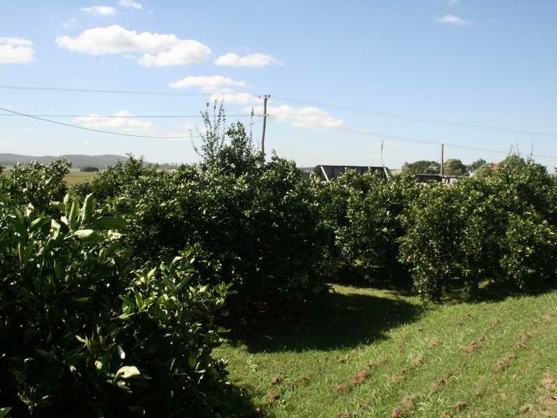 765 Paterson Road, Woodville NSW 2321