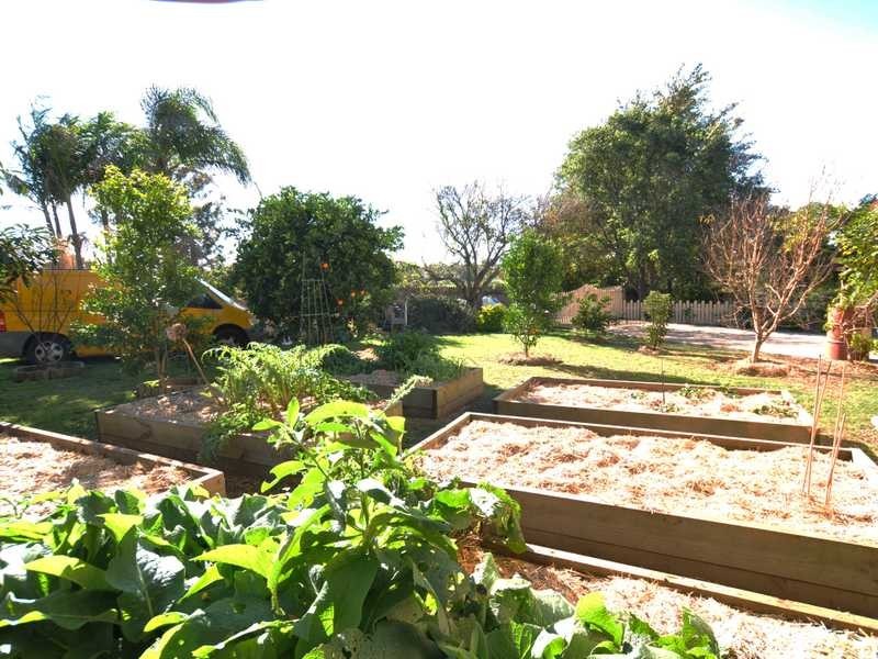 Farley NSW 2320