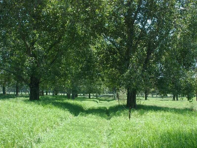 Maitland Vale NSW 2320