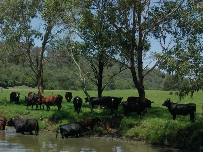 Maitland Vale NSW 2320