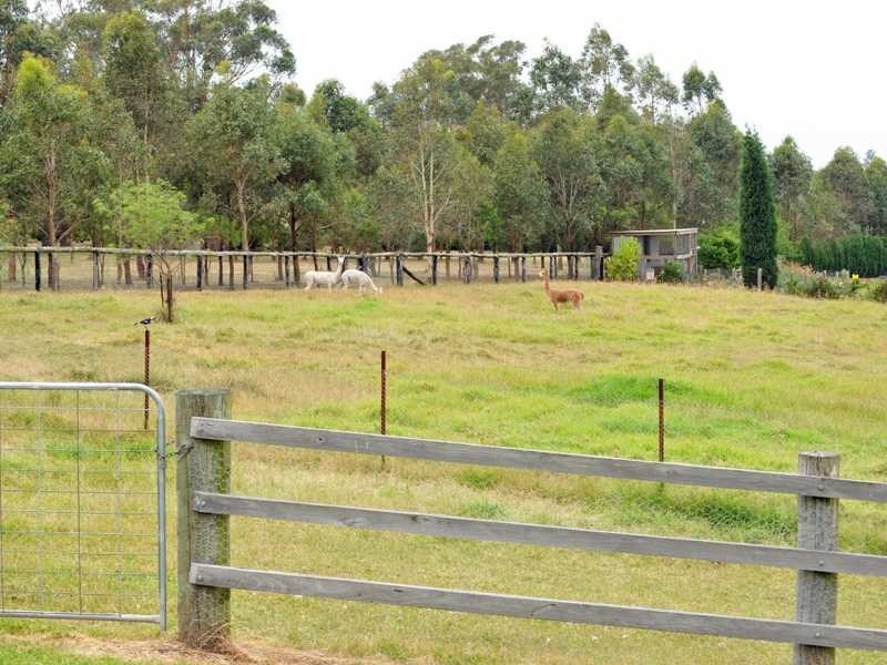 Oakhampton Heights NSW 2320