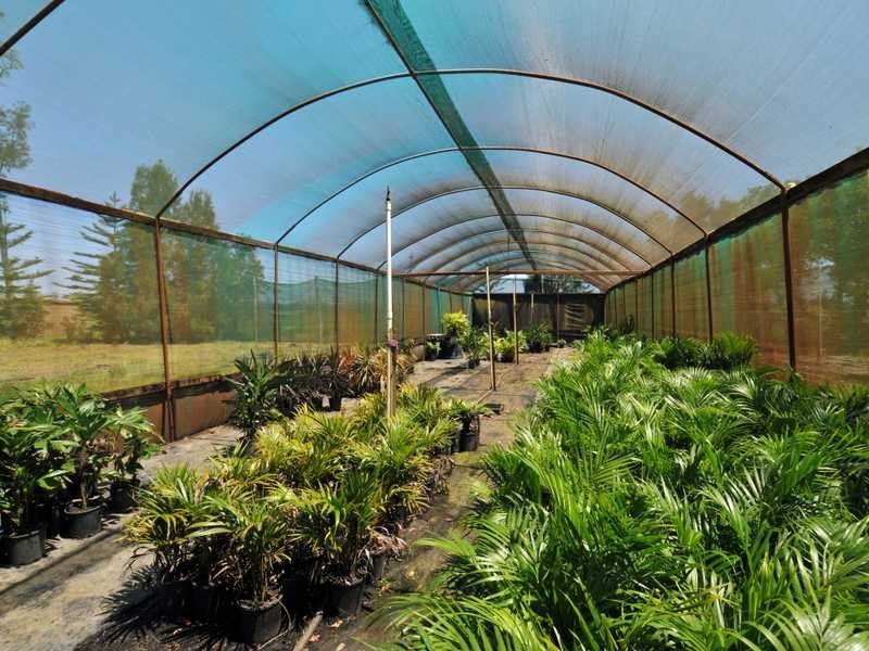 2130 Nelson Bay road, Williamtown NSW 2318