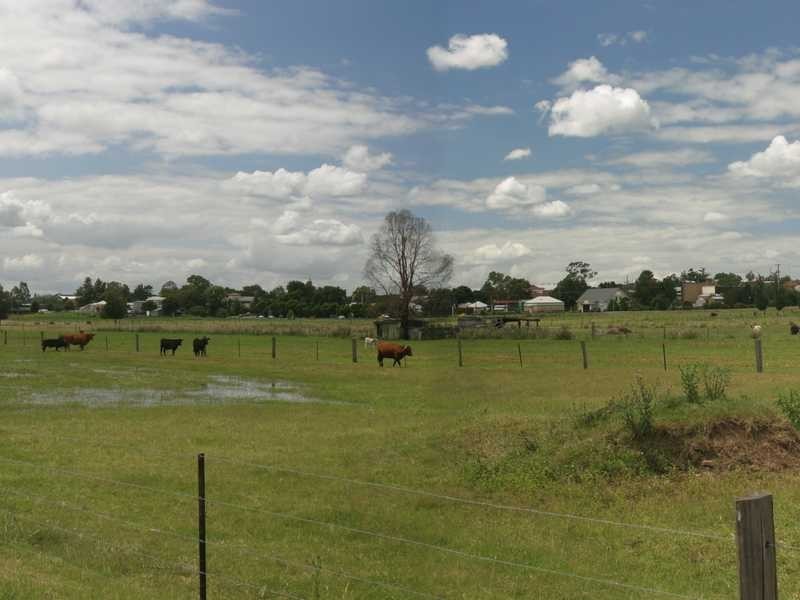 111 -113 Regent St, Maitland NSW 2320