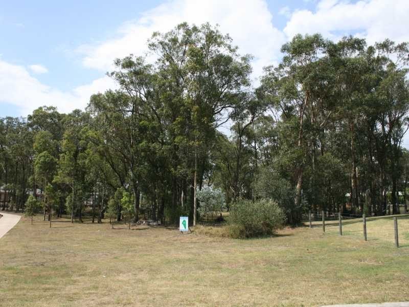 7 Gardenia Cl, Bolwarra Heights NSW 2320