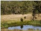 Gillieston Heights NSW 2321