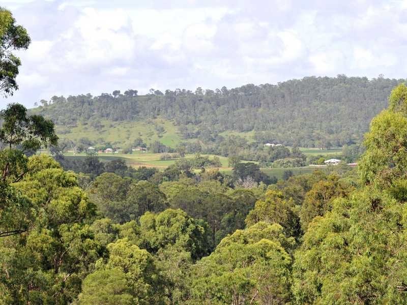 53 Woodglen Close, Paterson NSW 2421