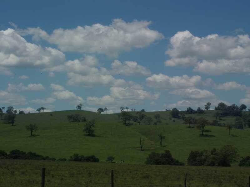 East Gresford NSW 2311