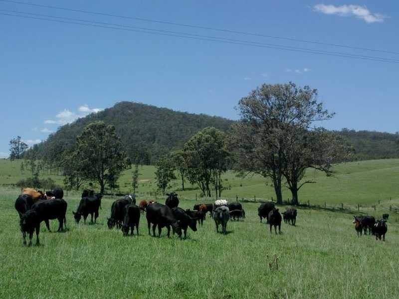 Vacy NSW 2421