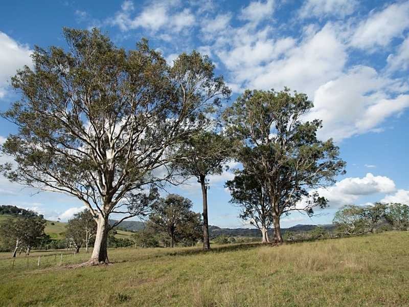 East Gresford NSW 2311