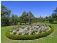 Oakhampton Heights NSW 2320