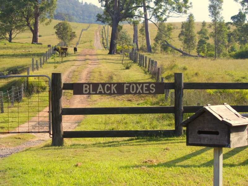 725H Lambs Valley Road, Lambs Valley NSW 2335
