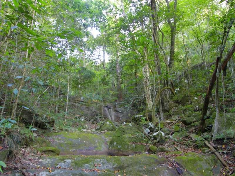 725H Lambs Valley Road, Lambs Valley NSW 2335