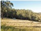 Paterson NSW 2421