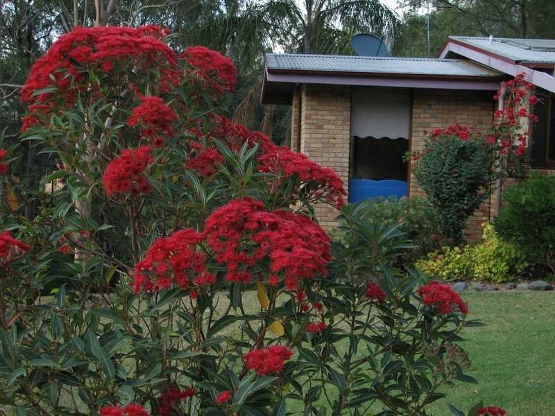 East Gresford NSW 2311