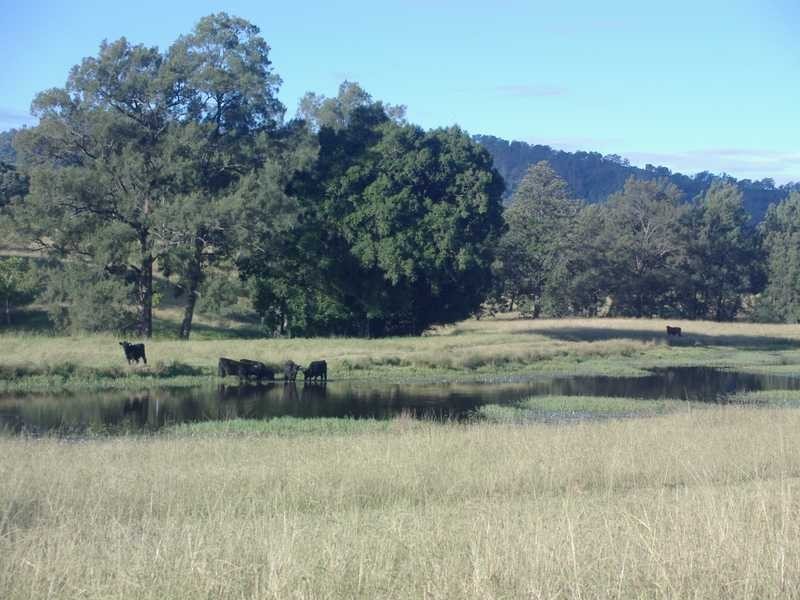 East Gresford NSW 2311