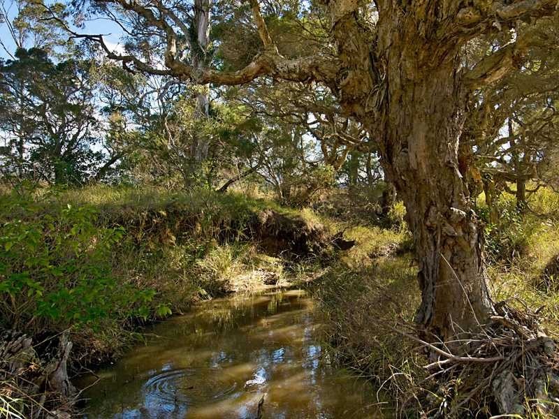 Vacy NSW 2421