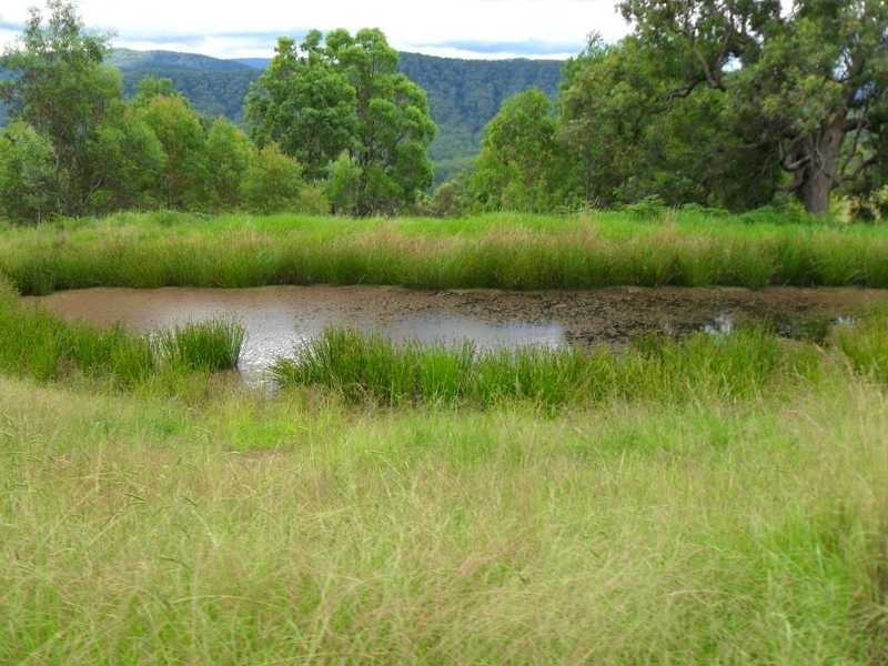 East Gresford NSW 2311