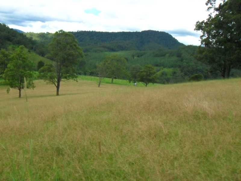 East Gresford NSW 2311