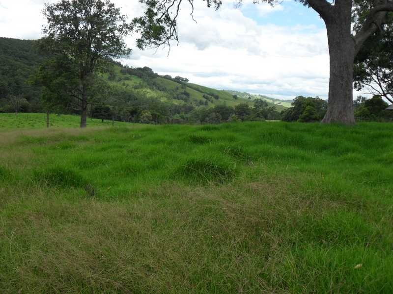 East Gresford NSW 2311