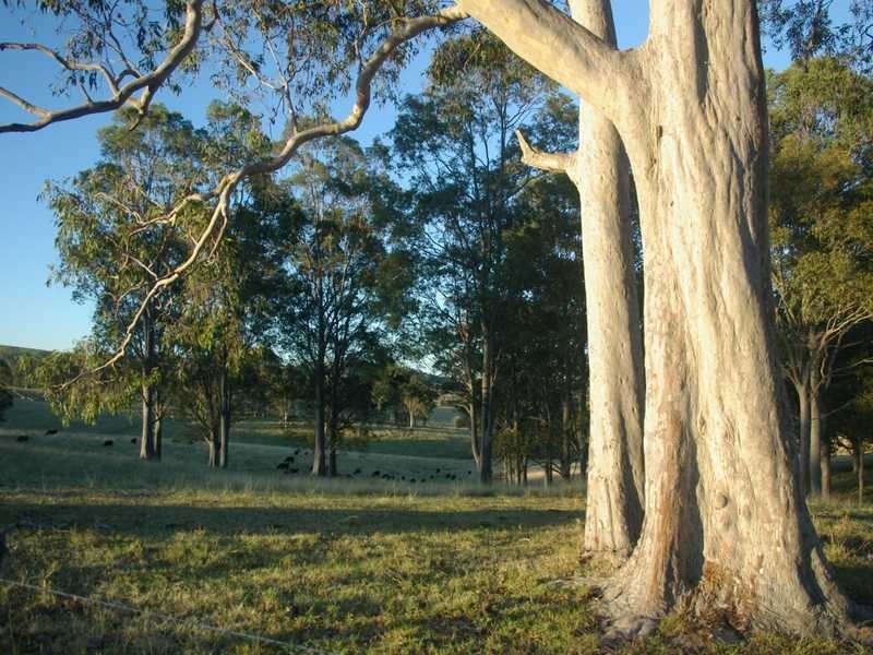 Clarence Town NSW 2321