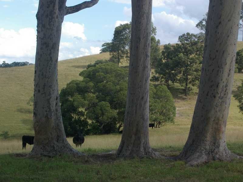 Clarence Town NSW 2321