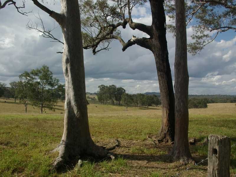 Clarence Town NSW 2321