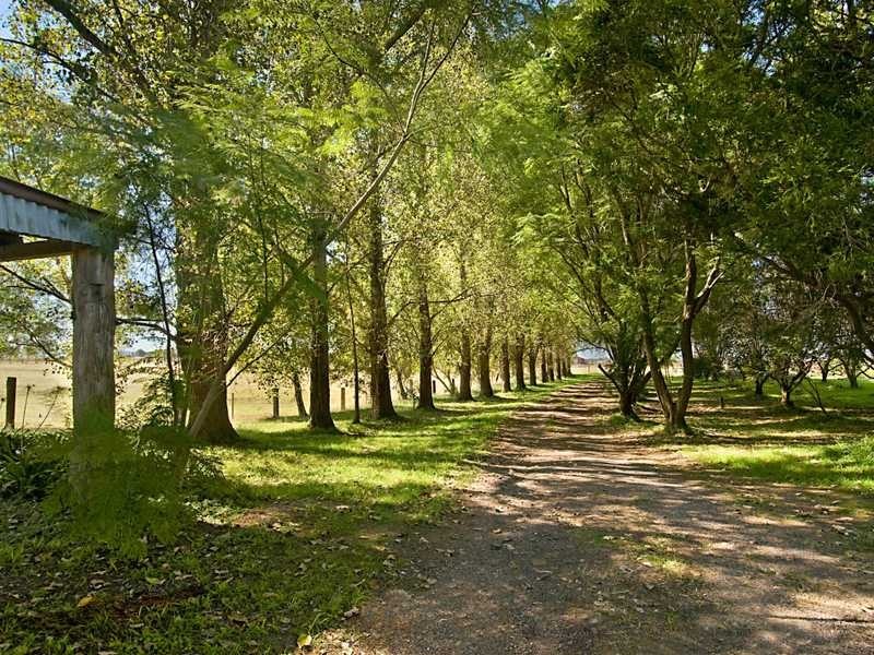 Lorn NSW 2320