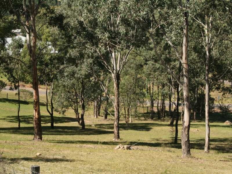 10-12 Count Street, Paterson NSW 2421