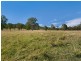 Paterson NSW 2421
