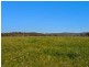 Lot 3 Paterson Grange Estate, Paterson NSW 2421