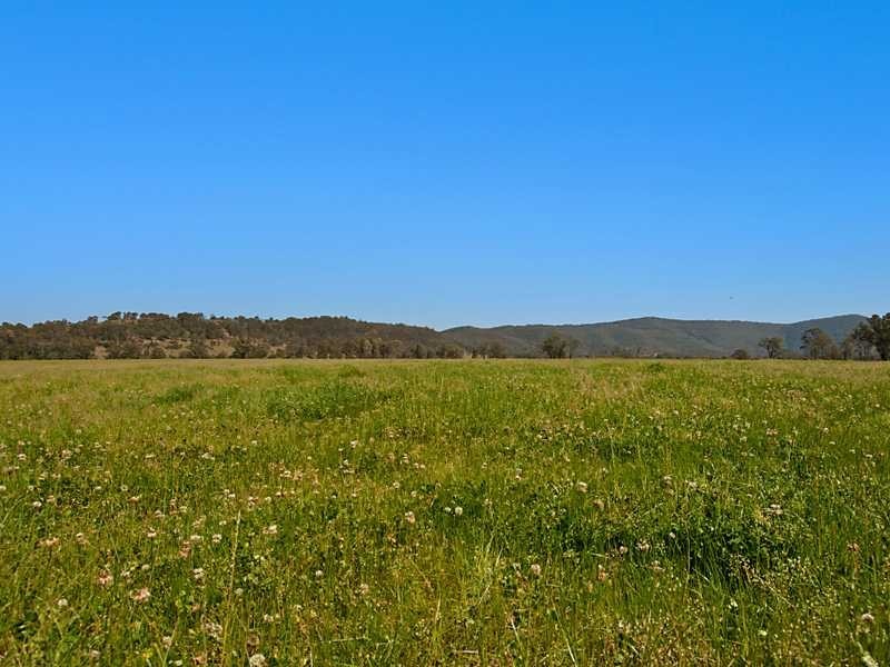 Lot 3 Paterson Grange Estate, Paterson NSW 2421