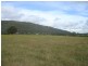 263 Martins Creek Road, Paterson NSW 2421