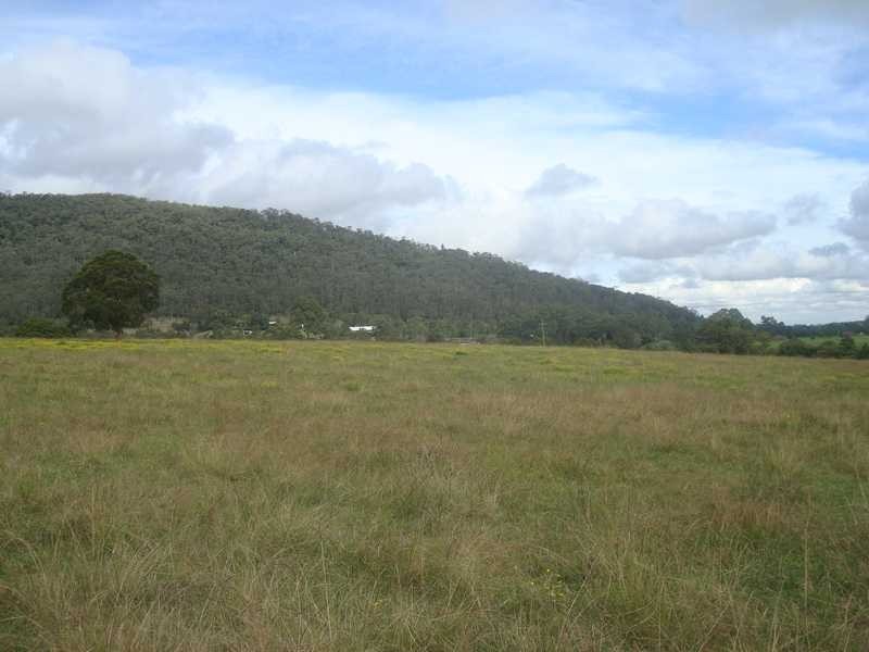 263 Martins Creek Road, Paterson NSW 2421