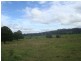 263 Martins Creek Road, Paterson NSW 2421