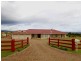 Branxton NSW 2335