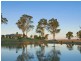 Maitland NSW 2320