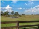 Maitland NSW 2320