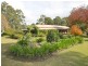 Maitland NSW 2320