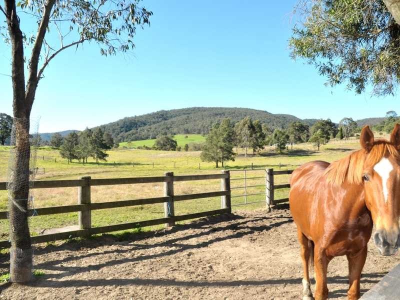 14 Martins Creek Road, Paterson NSW 2421