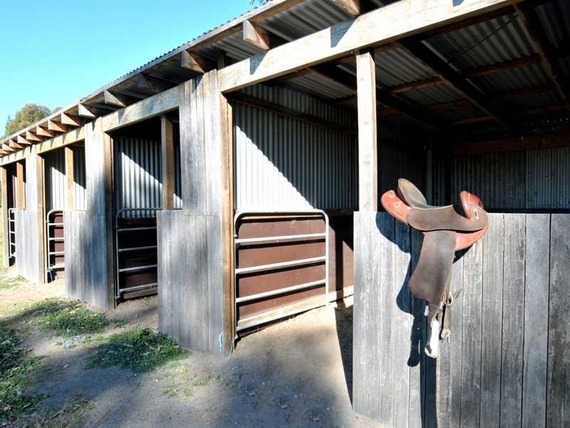 14 Martins Creek Road, Paterson NSW 2421