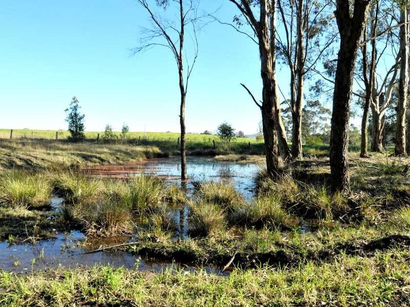 14 Martins Creek Road, Paterson NSW 2421