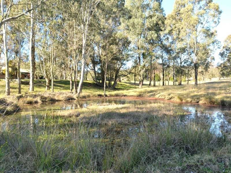 14 Martins Creek Road, Paterson NSW 2421