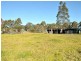 14 Martins Creek Road, Paterson NSW 2421