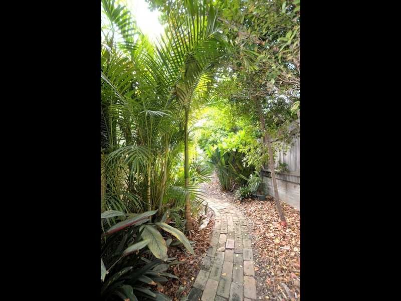 153 Lawes St, East Maitland NSW 2323
