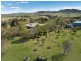 1119 Luskintyre Road, Luskintyre NSW 2321