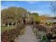1119 Luskintyre Road, Luskintyre NSW 2321